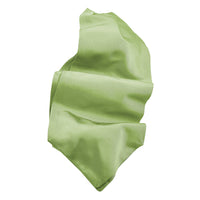 Silk Faille Woven Jacquard Ascot in Choice of 24 Colors by Dion