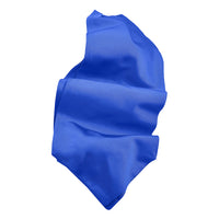 Silk Faille Woven Jacquard Ascot in Choice of 24 Colors by Dion