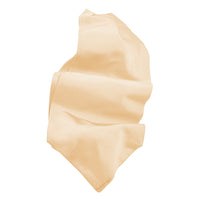 Silk Faille Woven Jacquard Ascot in Choice of 24 Colors by Dion