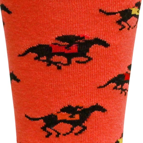 'Aristide' Horse Racing Cotton Socks in Dubarry by Brown Dog Hosiery