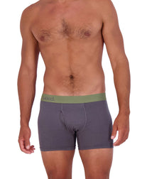 Boxer Brief w/ Fly in Iron by Wood Underwear