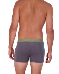 Boxer Brief w/ Fly in Iron by Wood Underwear