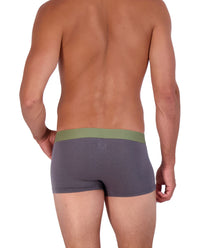Trunk Style Briefs in Iron by Wood Underwear